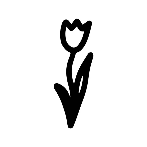Floral Vecteur Fleur Dessinée Main Une Tulipe Style Doodle Isolée — Image vectorielle