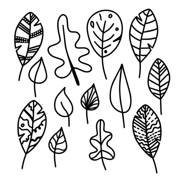 Vector Hand Getekend Set Van Herfstbladeren Geïsoleerd Witte Achtergrond Pictogram — Stockvector