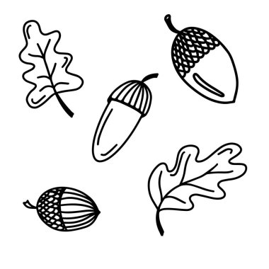 Beyaz arkaplanda meşe palamudu ve meşe yaprakları ile karalama sonbaharı ayarlandı. Mevsimlik tasarım, tekstil, süsleme, çocuk oyun odası ya da tebrik kartı için hoş bir illüstrasyon. Elle çizilmiş sonbahar hediyeleri.