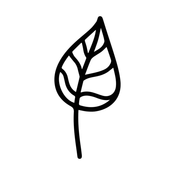Векторный Ручной Рисунок Осеннего Листа Изолирован Белом Фоне Значка Симпатичный — стоковый вектор
