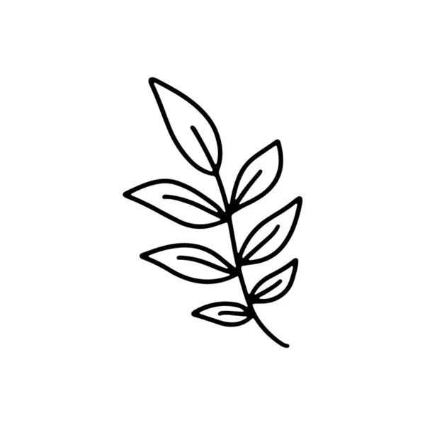 Векторный Ручной Рисунок Осеннего Листа Изолирован Белом Фоне Значка Симпатичный — стоковый вектор