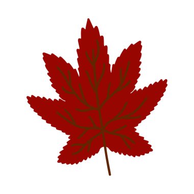 Vektör el beyaz arkaplanda izole sonbahar yaprağını çizdi. Süslü kırmızı akçaağaç yaprağı. Düğün tasarımı, ambalaj, tekstil, giyim sayfası, dekorasyon ve tebrik kartı için karalama yaprağı simgesi