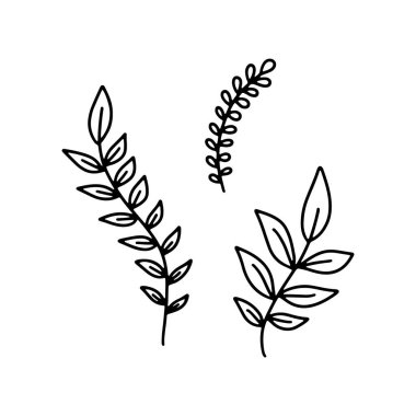 Beyaz arkaplan simgesinde izole edilmiş tropikal yapraklar çizilmiş. Mevsimlik tasarım, tekstil ve dekorasyon için hoş karalama yaprakları. Yetişkinler ve çocuklar için karalama boyama sayfası. Mürekkep satırı sanatı.