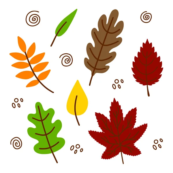 Vector Hand Drawn Autumn Leaves Set Isolated White Background Decorative — Stock Vector