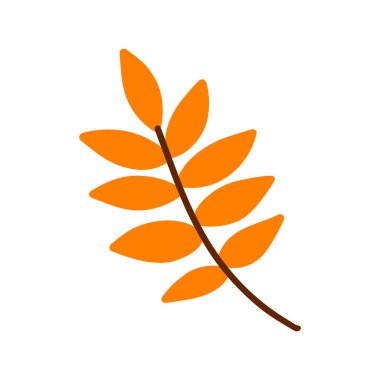 Vektör el beyaz arkaplanda izole sonbahar yaprağını çizdi. Dekoratif portakal yaprağı. Düğün tasarımı, ambalaj, tekstil, giyim sayfası, dekorasyon ve tebrik kartları için karalama yaprağı simgesi