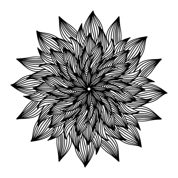 Floral Hand Drawn Aster Mandala Flowers Doodle Style Isolated White — 스톡 벡터