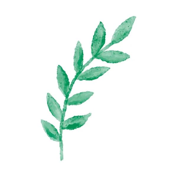 Векторный Рисунок Акварелью Выделенный Белом Фоне Ботанический Клипарт Зеленые Листья — стоковый вектор