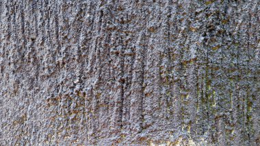 Çimento dokulu duvar arka plan