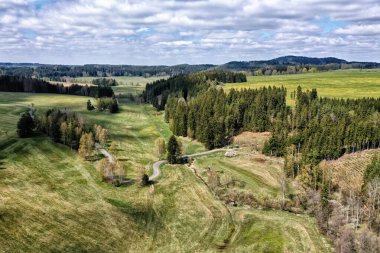 Çimenli yamaçta, sonbaharda ağaçların arasında virajlı bir yol.