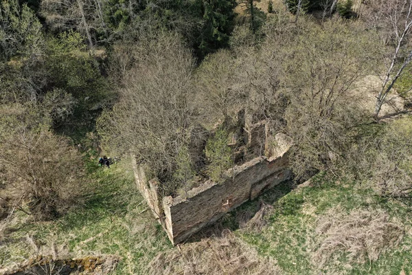 Ruins Old Mill Buiilding Trees Growing Interior — Foto de Stock