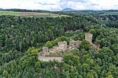 Helfenburk Kalesi 'nin duvarları, tepenin altındaki ormanlık alanda tarlaları var.