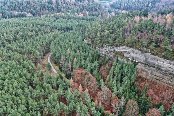 Βαθιά Δάση Της Στρατιωτικής Περιοχής Ralsko Ένα Μόνο Δρόμο Και — Φωτογραφία Αρχείου