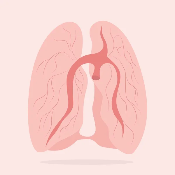 肺のアイコン、フラットスタイル。人間のデザイン要素、ロゴの内部器官。解剖学、医学の概念 — ストックベクタ