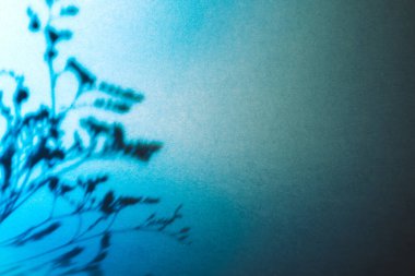 Mavi arkaplanda gölgeler