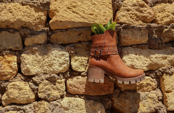 Brown boots hang on wall and green plant grows in boot. Second life for old things. Lifestyle and decoration. Give new life