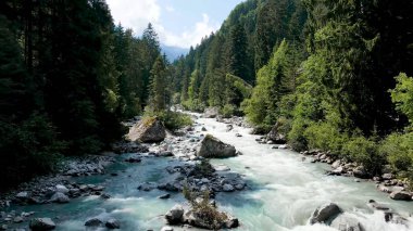 Hızlı dağ nehri, büyük kayalar, duvarları olan kozalaklı ağaçlar.