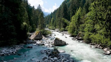 Hızlı dağ nehri, büyük kayalar, duvarları olan kozalaklı ağaçlar.