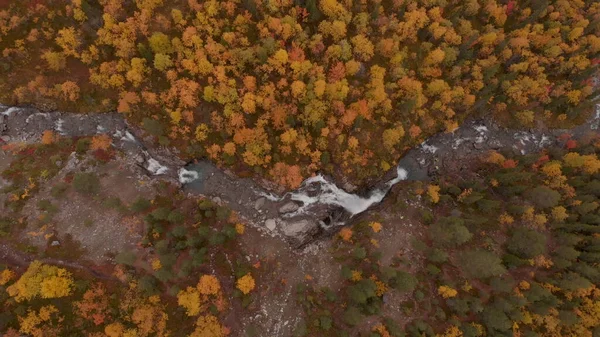 Вид Річку Осінній Пейзаж Пофарбовані Дерева — стокове фото