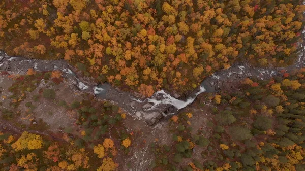 Drone Vista Del Río Paisaje Otoñal Árboles Amarillentos —  Fotos de Stock