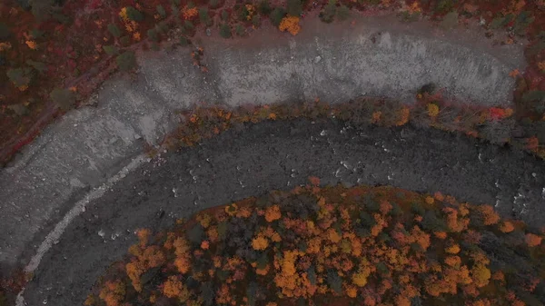 车臣共和国夏季森林中的道路 环绕着茂密的绿色植被 — 图库照片