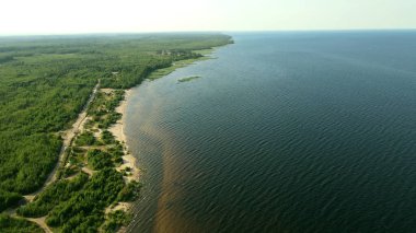 Ladoga Gölü 'nün kumlu kıyısı, karanlık su, yoğun bitki örtüsü, ağaçlar.