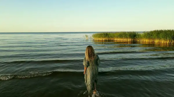 水の中を歩く女浅い水の中を歩く夏葦 — ストック写真