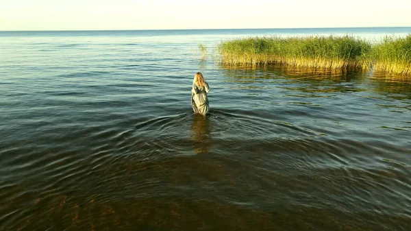 水の中を歩く女浅い水の中を歩く夏葦 — ストック写真