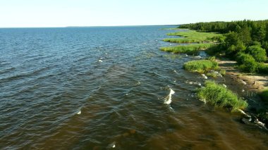 Ladoga Gölü 'nde küçük dalgalar, yaz, güneşli hava