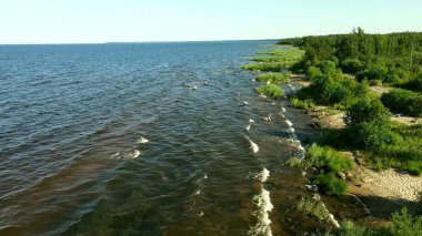 Ladoga Gölü 'nde küçük dalgalar, yaz, güneşli hava