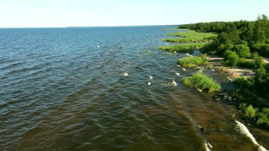 Ladoga Gölü 'nde küçük dalgalar, yaz, güneşli hava