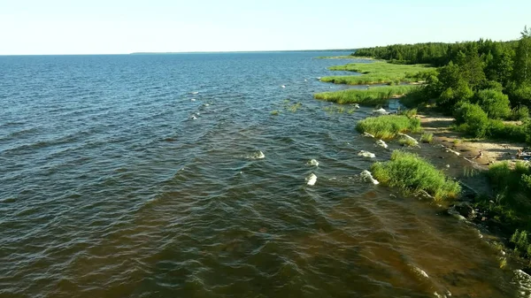 Ladoga Gölü 'nde küçük dalgalar, yaz, güneşli hava