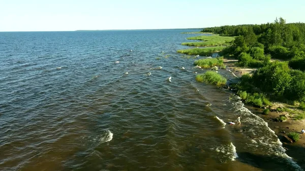 Ladoga Gölü 'nde küçük dalgalar, yaz, güneşli hava