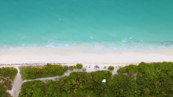 Drone Vista Una Playa Arena Limpia Palmeras Sombrillas Agua Clara —  Fotos de Stock