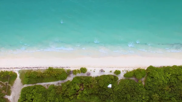 Вид Чистый Песчаный Пляж Пальмы Зонтики Чистую Воду Волны Идиллию — стоковое фото