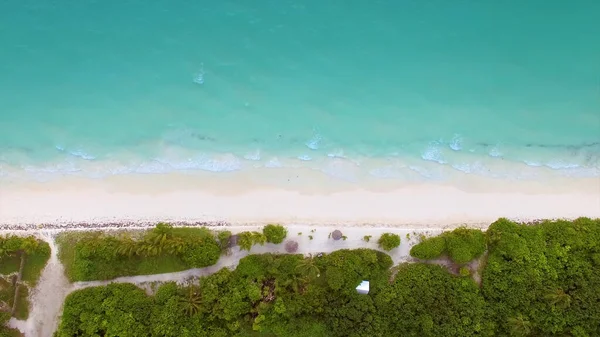 Drone Vista Una Playa Arena Limpia Palmeras Sombrillas Agua Clara —  Fotos de Stock