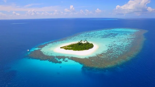 Pequeña Isla Romántica Océano Pacífico Maldivas Arrecifes Océano Azul Palmeras —  Fotos de Stock