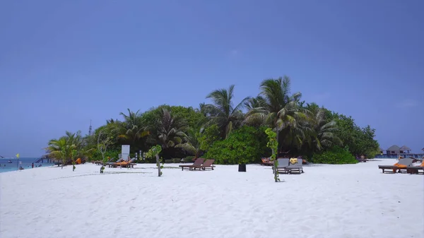 Piaszczysta Plaża Leżaki Palmy Błękitne Niebo — Zdjęcie stockowe