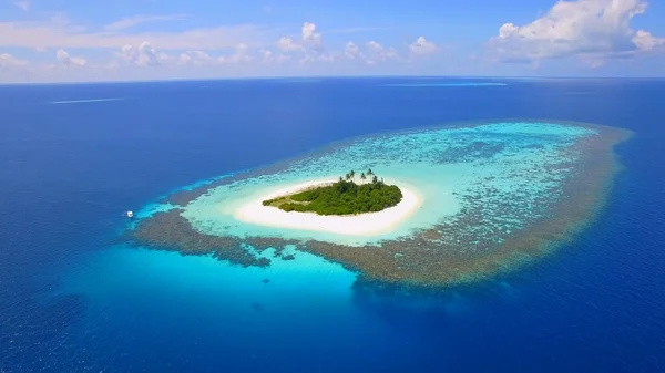 Pequeña Isla Romántica Océano Pacífico Maldivas Arrecifes Océano Azul Palmeras Imagen de stock