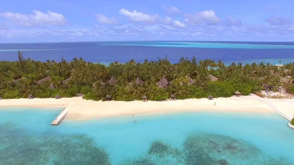 Hermosa Isla Turística Las Maldivas Bungalows Entre Palmeras Playa Arena —  Fotos de Stock