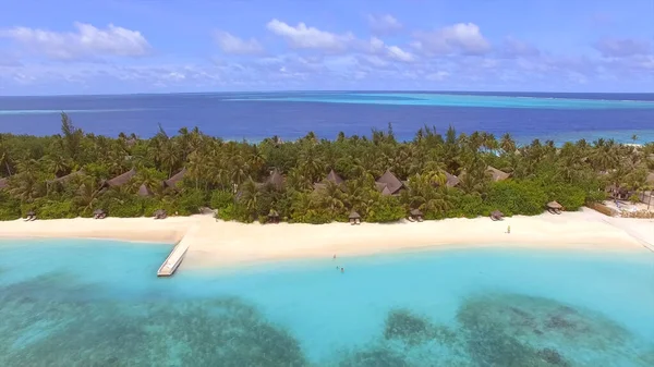 Hermosa Isla Turística Las Maldivas Bungalows Entre Palmeras Playa Arena —  Fotos de Stock