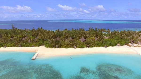 Piękna Wyspa Wypoczynkowa Malediwach Bungalowy Wśród Palm Piaszczysta Plaża Błękitna — Zdjęcie stockowe