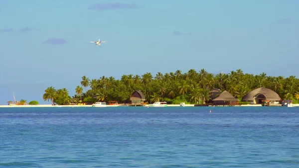 Turistli Uçak Cennet Adasına Inecek Mavi Okyanus Palmiye Ağaçları Kumlu — Stok fotoğraf