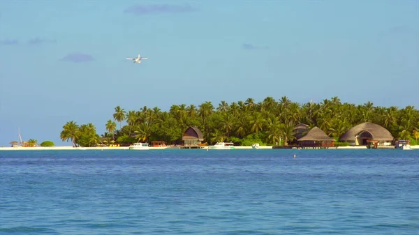 Samolot Turystami Ląduje Rajskiej Wyspie Błękitnym Oceanie Palmach Piaszczystej Plaży — Zdjęcie stockowe