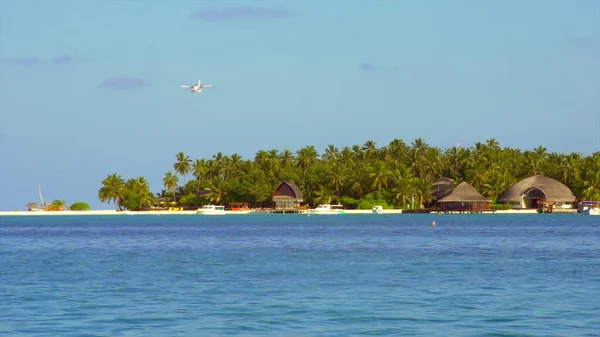 Plane Tourists Comes Land Paradise Island Blue Ocean Palm Trees — Stock Photo, Image