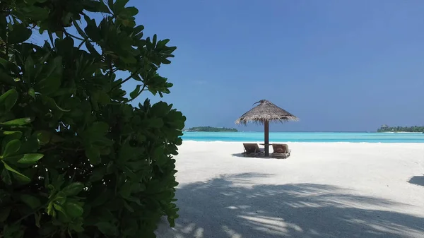 モルディブ パラダイスビーチの後ろからサンラウンジャー付きの傘の景色 — ストック写真
