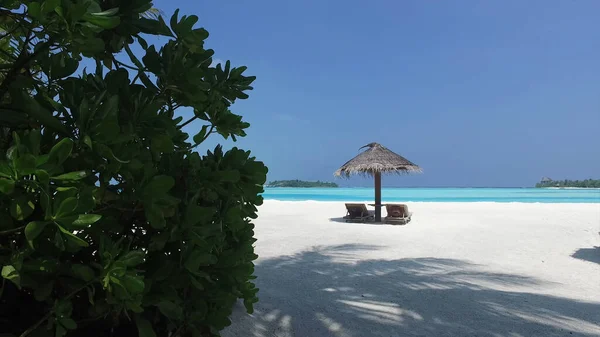 モルディブ パラダイスビーチの後ろからサンラウンジャー付きの傘の景色 — ストック写真