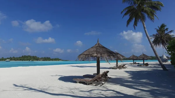 ロマンチックな休暇に最適です サンラウンジャー付きのわらぶき屋根の傘 ヤシの木 砂と澄んだ海 — ストック写真
