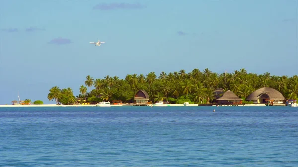 観光客と飛行機は楽園の島 青い海 ヤシの木と砂浜に着陸します ストック写真