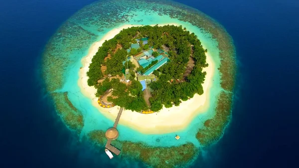 Pohled Shora Maledivy Palmy Písek Pláž — Stock fotografie