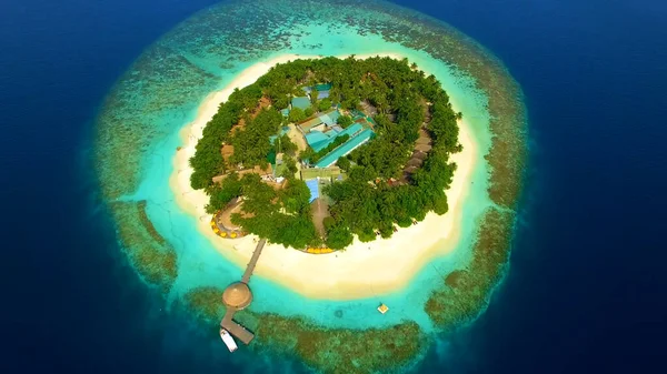 Вид Сверху Мальдивы Пальмы Песок Пляж — стоковое фото